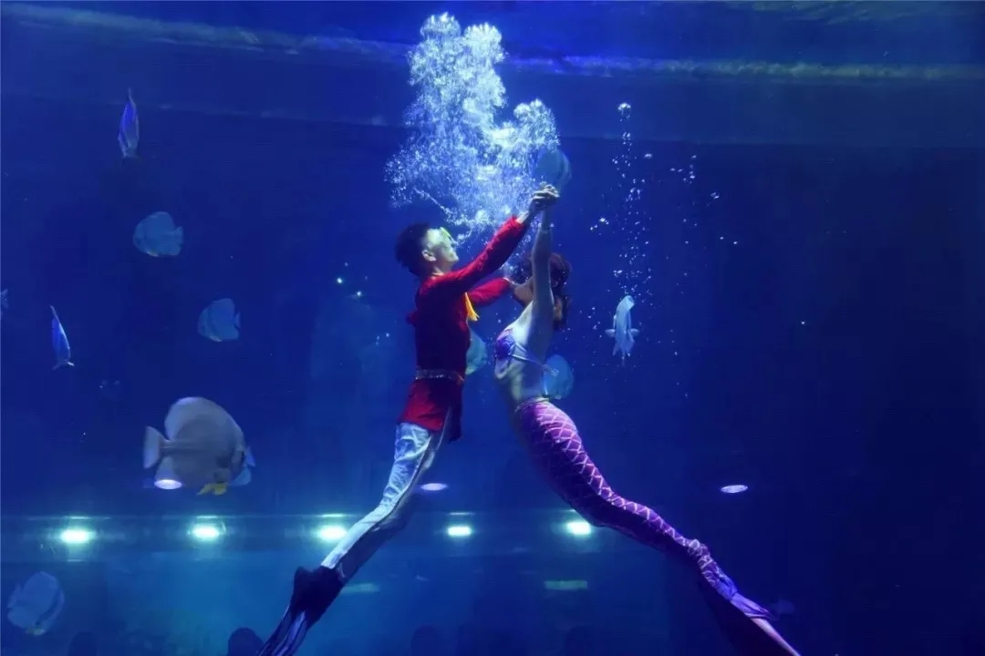 微信圖片_20210113153336.png 微信圖片_20210113153336.png